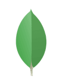 MongoDB